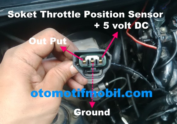 soket throttle posisi sensor enia 1000 cc